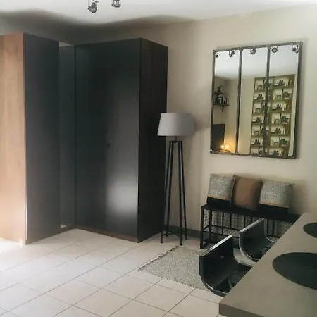 Studio 50 M De La Plage Et Thalasso, Terrasse, Parking Prive *