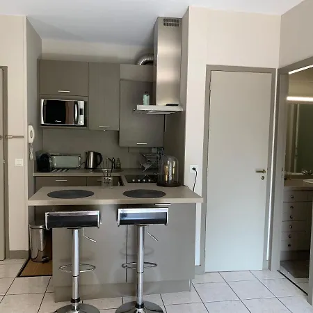 Apartmán Studio 50 M De La Plage Et Thalasso, Terrasse, Parking Prive *